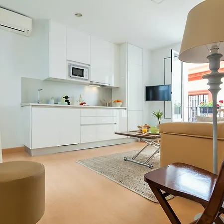 Apartment Hostly Acetres 1b-2b Center-fibre-conmunal Terrace-parking Optional Seville